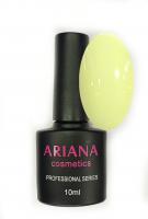 ARIANA cosmetics professional series