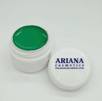 ARIANA cosmetics Гель-краска без липкого слоя