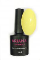 ARIANA cosmetics professional series №634