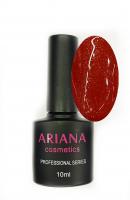 ARIANA cosmetics professional series "Космос"