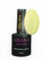 ARIANA cosmetics professional series Magic Night