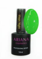 ARIANA cosmetics professional series Magic Night