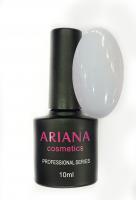 ARIANA cosmetics professional series