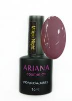 ARIANA cosmetics professional series Magic Night