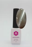 ARIANAIL salon series "Кошачий глаз"