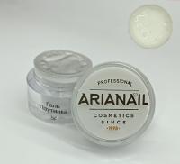 ARIANAIL cosmetics Гель-краска "Паутинка"