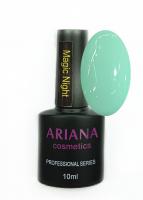 ARIANA cosmetics professional series Magic Night
