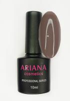 ARIANA cosmetics professional series