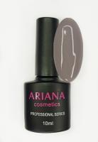 ARIANA cosmetics professional series