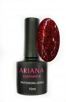 ARIANA cosmetics professional series "Космос"