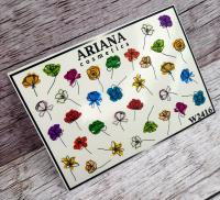 Слайдеры Ariana Cosmetics
