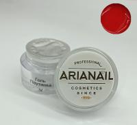 ARIANAIL cosmetics Гель-краска "Паутинка"