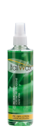 Лосьон перед депиляции ITALWAX 240 мл  Алоэ