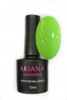 ARIANA cosmetics professional series