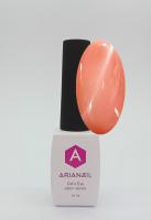 ARIANAIL salon series "Кошачий глаз"