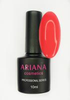 ARIANA cosmetics professional series №027