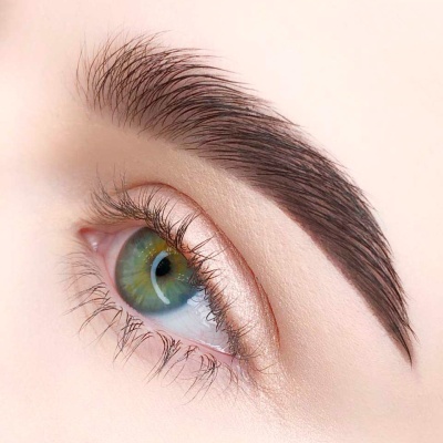 BROWN хна для бровей EkkoBeauty